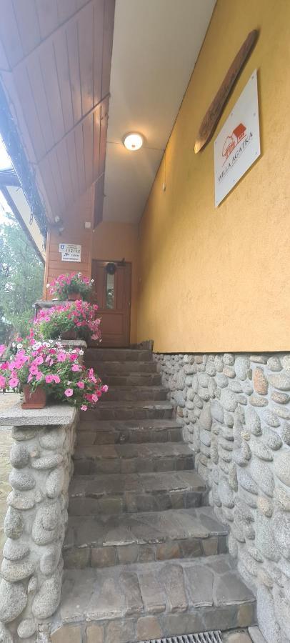 Willa Agatka Zakopane Buitenkant foto